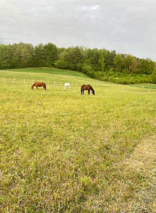 Appartamento In Cascina -La Cascinetta Di Ali- Roatto Exterior foto
