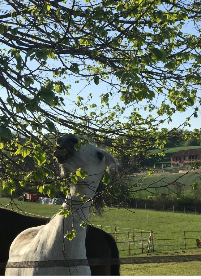 Appartamento In Cascina -La Cascinetta Di Ali- Roatto Exterior foto