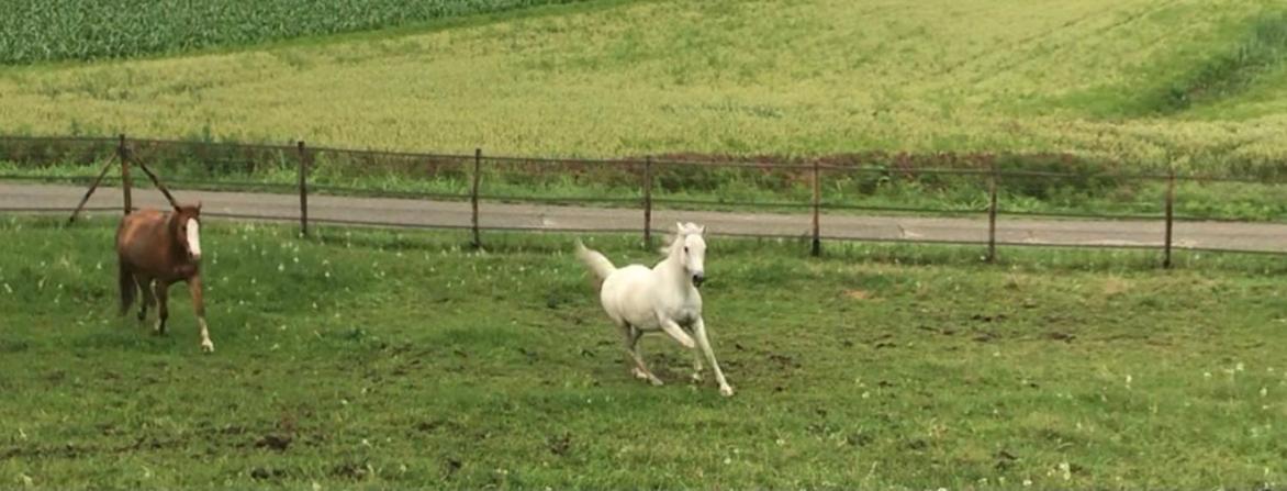 Appartamento In Cascina -La Cascinetta Di Ali- Roatto Exterior foto
